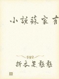 小说苏家有女封面