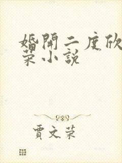 婚开二度欣欣向荣小说封面