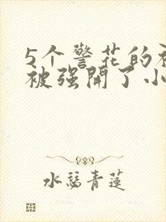 5个警花的初苞被强开了小说