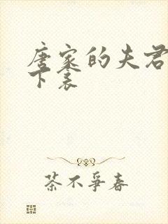 唐家的夫君们帘下衾