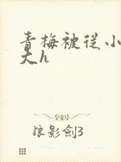 青梅被从小摸到大h封面