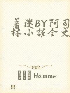 着迷BY阿司匹林小说全文免费阅读封面