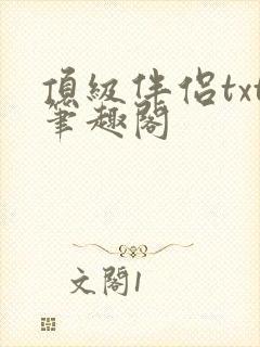 顶级伴侣txt笔趣阁