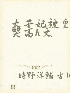 太子妃被皇上c哭高h文封面