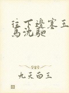 往下边塞玉器骑马沈驰