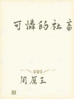 可怜的社畜分手