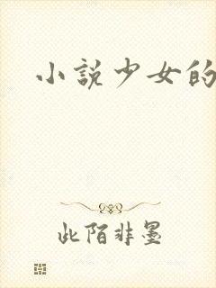 小说少女的心