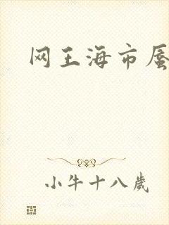 网王海市蜃楼