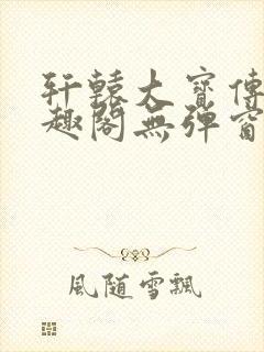 轩辕大宝传奇笔趣阁无弹窗