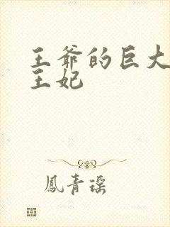 王爷的巨大进入王妃