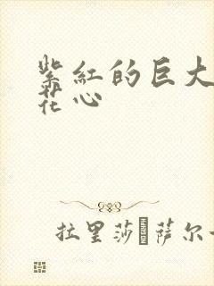 紫红的巨大顶开花心