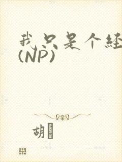 我只是个经纪人(NP)