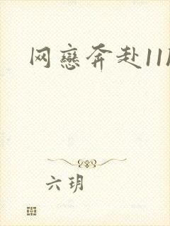 网恋奔赴11h封面