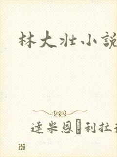 林大壮小说阅读封面