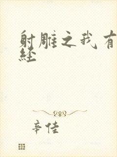 射雕之我有太玄经封面