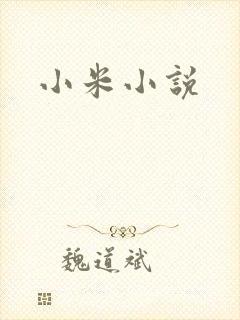 小米小说