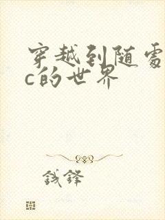 穿越到随处可以c的世界