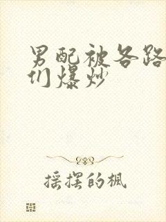 男配被各路大佬们爆炒