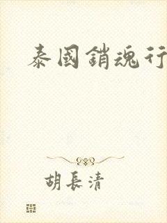 泰国销魂行封面