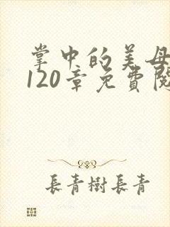 掌中的美母版主120章免费阅读
