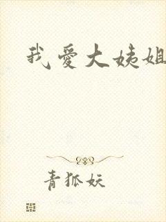 我爱大姨姐封面