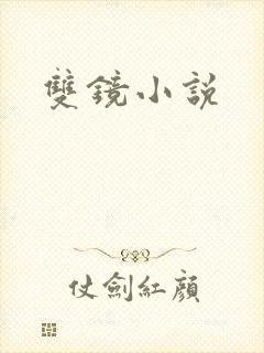 双镜小说封面
