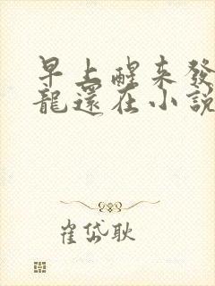 早上醒来发现巨龙还在小说