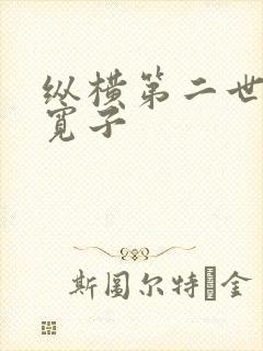 纵横第二世界 宽子