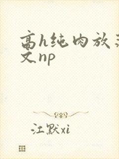 高h纯肉放荡h文np