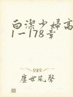 白洁少妇高义第1一178章