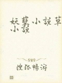 妖孽小说草莓酱小说