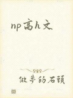 np高h文