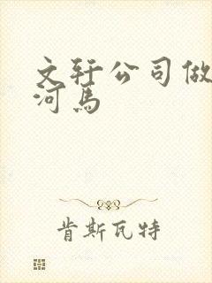 文轩公司做扩张河马封面