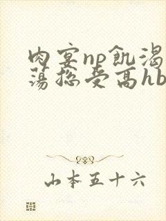 肉宴np饥渴放荡总受高hbl