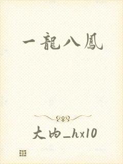 一龙八凤