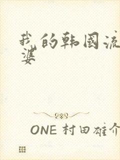 我的韩国流氓老婆封面