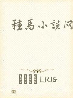 种马小说网封面
