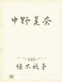 中野美奈封面