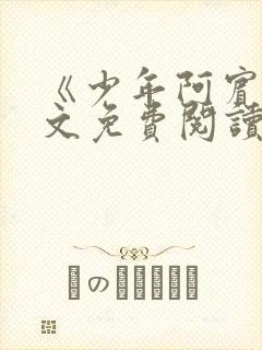 《少年阿宾》全文免费阅读封面