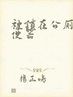 被锁在公厕当坐便器封面