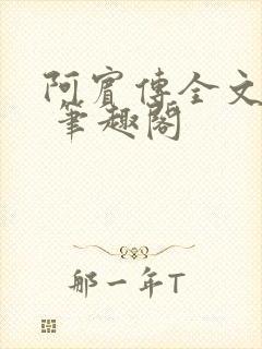 阿宾传全文阅读 笔趣阁封面