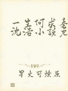 一生何求秦菲雪沈浩小说免费阅读全文