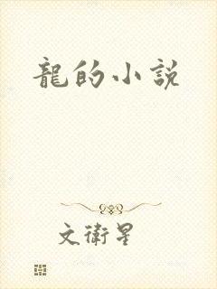 龙的小说