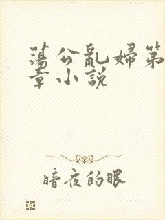 荡公乱妇第51章小说