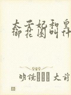 太子妃和皇帝在御花园叫什么小说