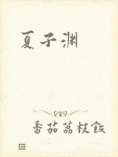 夏子渊封面