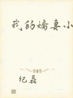 我的娇妻小说