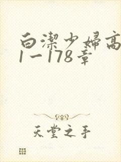 白洁少妇高义第1一178章封面