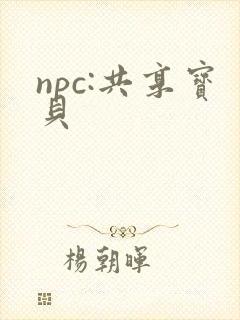 npc:共享宝贝封面