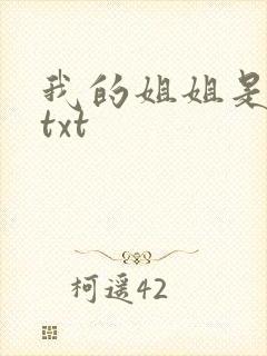 我的姐姐是美女txt